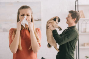 Learn How to Reduce the Symptoms of Pet Allergies in Your Own Home