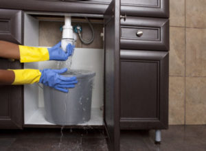 So Your Garbage Disposal is Leaking: Learn What Can Be Done About It