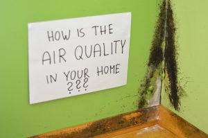How Clean is the Air in Your Home? The Answer May Surprise You