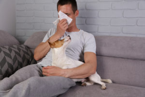 Get 4 Tips to Help Reduce Pet Allergies in Your California Home