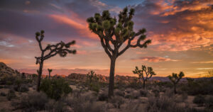Why Your Home Stays Hot Long After Sunset — Heat Soak and Your Antelope Valley HVAC System Why Your Home Stays Hot Long After Sunset — Heat Soak and Your Antelope Valley HVAC System